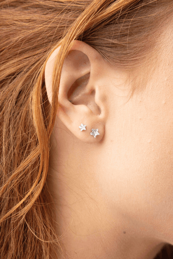 23536 -modelo-